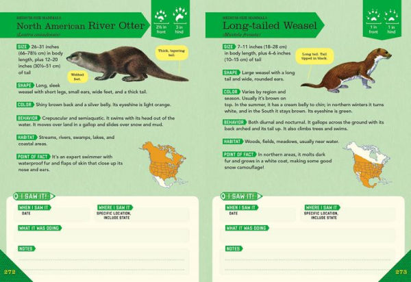 Outdoor School: Animal Watching: The Definitive Interactive Nature Guide