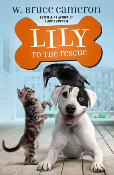 Lily to the Rescue (Lily Rescue! Series #1)