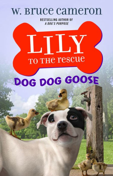Dog Goose (Lily to the Rescue! Series #4)