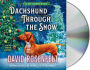 Dachshund through the Snow (Andy Carpenter Series #20)