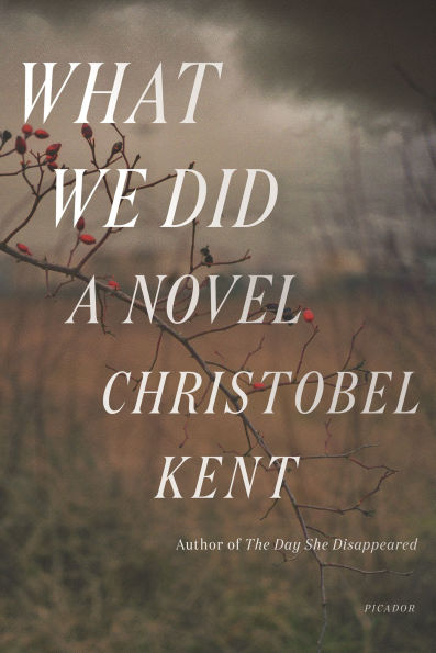 What We Did: A Novel