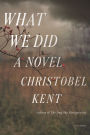 What We Did: A Novel