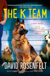 Text book nova The K Team English version 9781250257192 PDB FB2