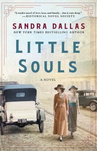 Is it possible to download google books Little Souls: A Novel 9781250277886 by Sandra Dallas CHM ePub