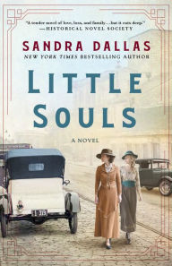 Amazon free audio books download Little Souls: A Novel