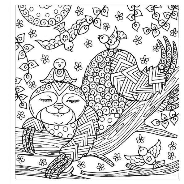 Color & Frame - Sloth (adult Coloring Book) - By New Seasons