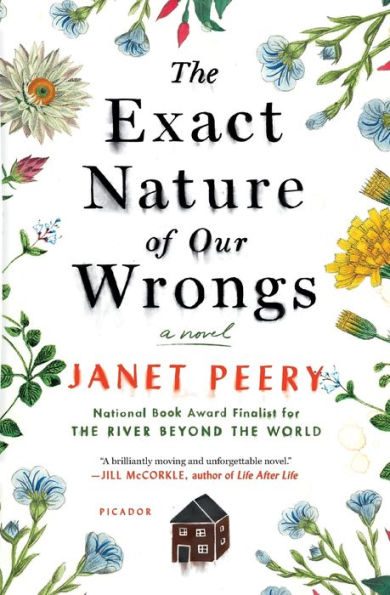 The Exact Nature of Our Wrongs: A Novel