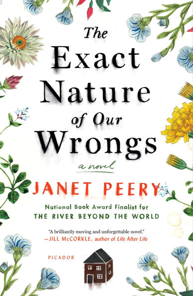 The Exact Nature of Our Wrongs: A Novel