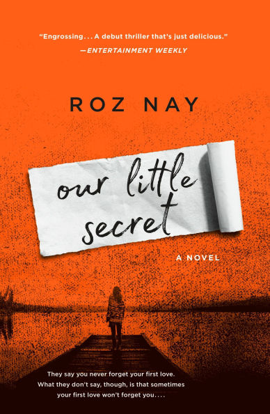 Our Little Secret: A Novel