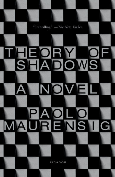 Theory of Shadows: A Novel