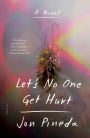 Let's No One Get Hurt: A Novel