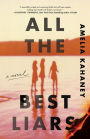 All the Best Liars: A Novel