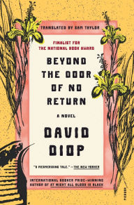 Free online downloadable e-books Beyond the Door of No Return: A Novel 9781250338051 ePub FB2 RTF