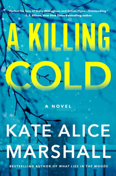 A Killing Cold: A Novel