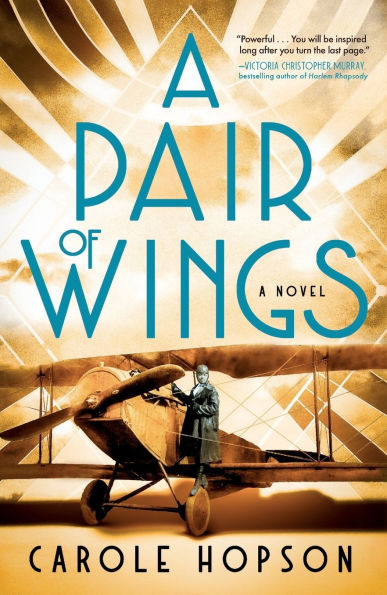A Pair of Wings: Novel