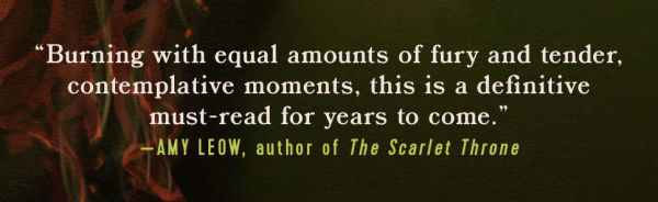 When They Burned the Butterfly: A Novel