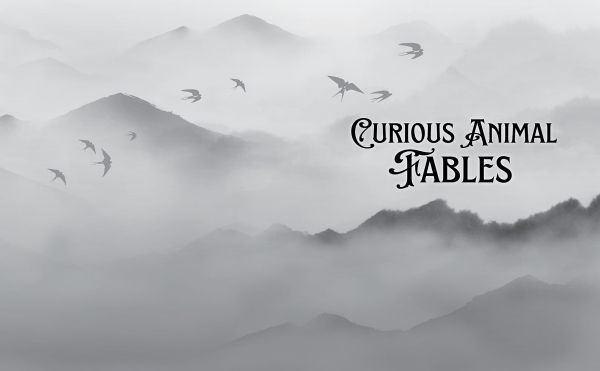 Dark & Dreamy Tales from Japan: Curious Legends the Greatest Storytellers on Earth