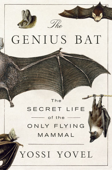 the Genius Bat: Secret Life of Only Flying Mammal