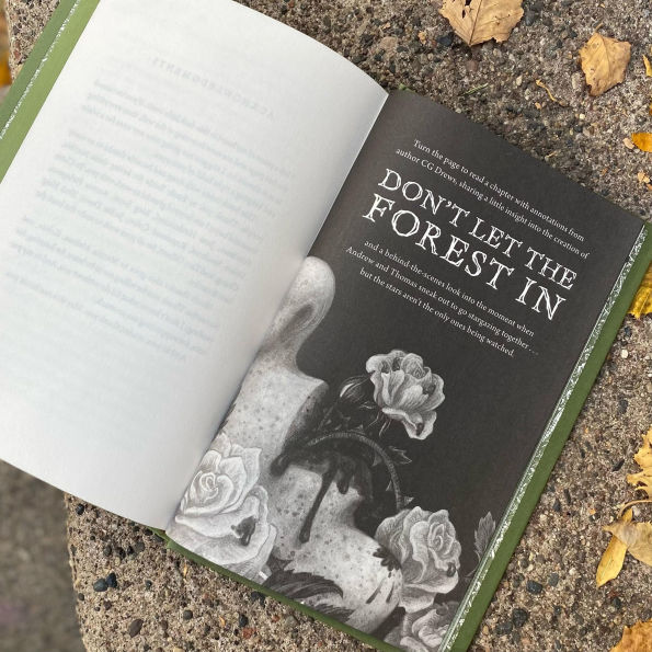 Don't Let the Forest (Barnes & Noble YA Book Club Edition)