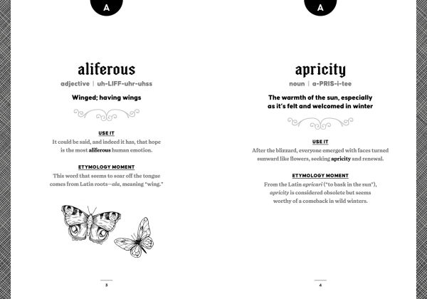 The Word Nerd Dictionary of Obscure & Enchanting Words