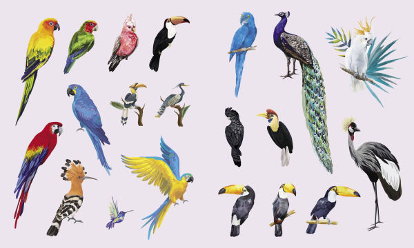 Sticker Studio: Menagerie: A Sticker Gallery of The Animal Kingdom