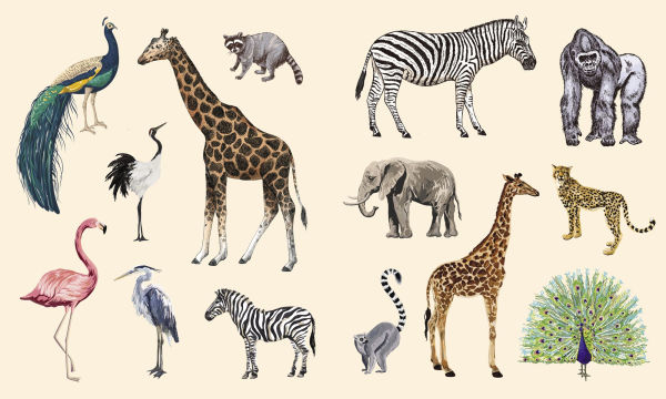 Sticker Studio: Menagerie: A Sticker Gallery of The Animal Kingdom