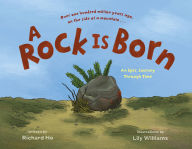 Title: A Rock Is Born: An Epic Journey Through Time, Author: Richard Ho