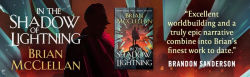 Alternative view 2 of In the Shadow of Lightning