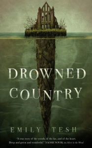 Kindle download ebook to computer Drowned Country English version