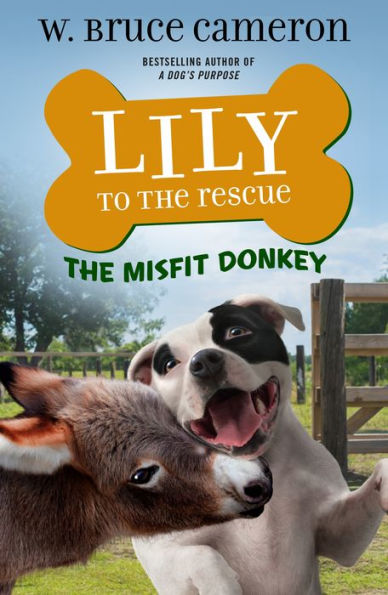 Lily to The Rescue: Misfit Donkey