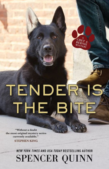 Tender Is the Bite (Chet and Bernie Series #11)