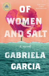 Ebooks rapidshare free download Of Women and Salt: A Novel CHM iBook RTF 9781250776686 by Gabriela Garcia English version