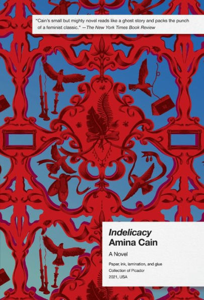 Indelicacy: A Novel