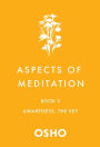 Aspects of Meditation Book 3: Awareness, the Key