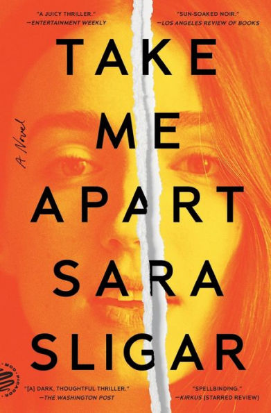 Take Me Apart: A Novel