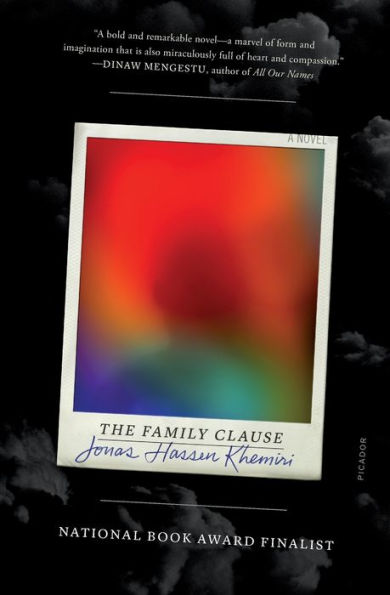 The Family Clause: A Novel