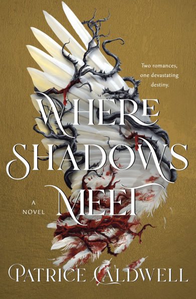 Where Shadows Meet: A Novel