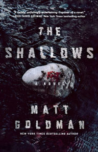 Title: The Shallows (Nils Shapiro Series #3), Author: Matt Goldman