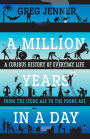 A Million Years in a Day: A Curious History of Everyday Life from the Stone Age to the Phone Age