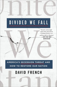 Download books in english Divided We Fall: America's Secession Threat and How to Restore Our Nation 9781250836731