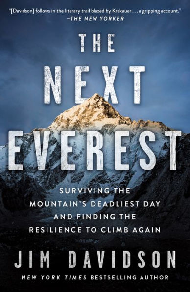 the Next Everest: Surviving Mountain's Deadliest Day and Finding Resilience to Climb Again