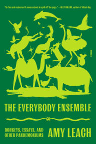 The Everybody Ensemble: Donkeys, Essays, and Other Pandemoniums