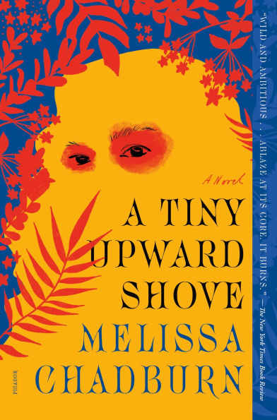 A Tiny Upward Shove: A Novel