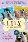 Lily to the Rescue Bind-Up Books 1-3: Lily to the Rescue, Two Little Piggies, and The Not-So-Stinky Skunk