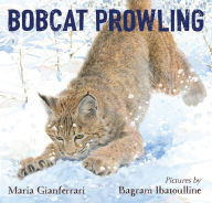 Title: Bobcat Prowling, Author: Maria Gianferrari