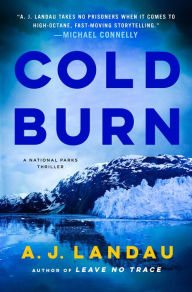 Title: Cold Burn: A Novel, Author: Jon Land