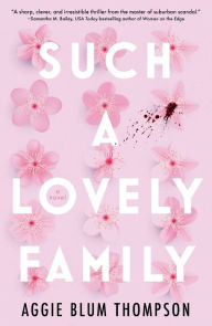 Best books to download on iphone Such a Lovely Family by Aggie Blum Thompson in English 9781250891990