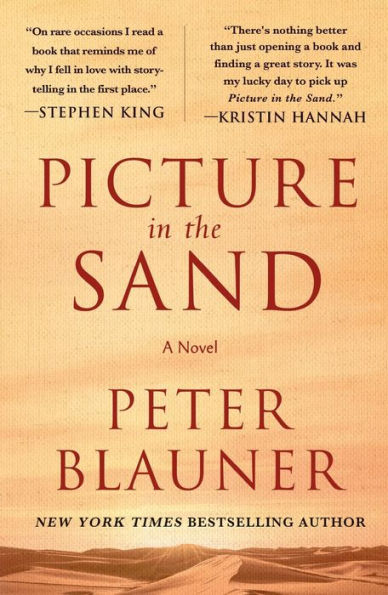 Picture the Sand: A Novel