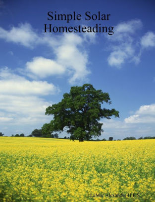 Living off the grid a beginners guide (Living off the grid with Merlyn Seeley Book 1)