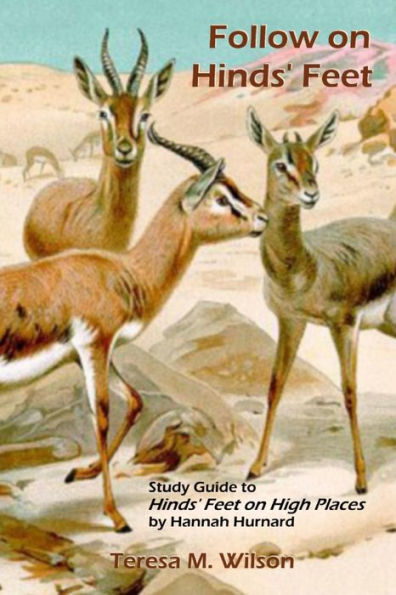 Follow On Hinds' Feet: Study Guide To Hinds' Feet On High Places by Hannah Hurnard